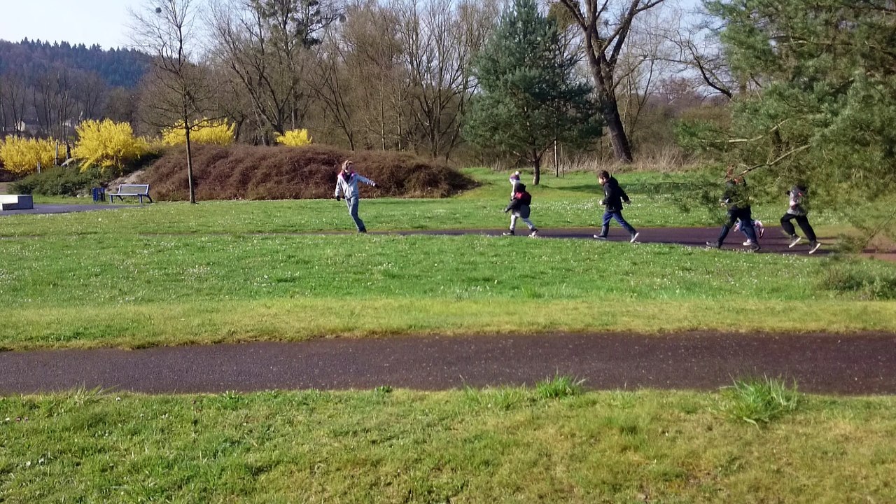 video alsh avril 2016 (2)