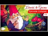 David le Gnome - 09 - Le étang au bois