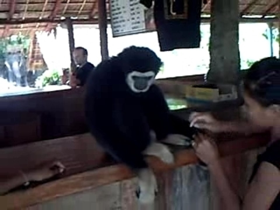 singe phuket