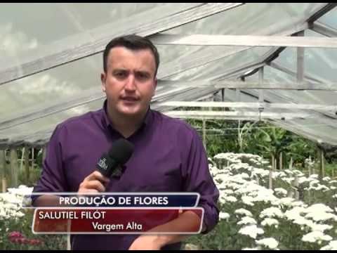 07-02-2014 - PRODUÇÃO DE FLORES - ZOOM TV JORNAL