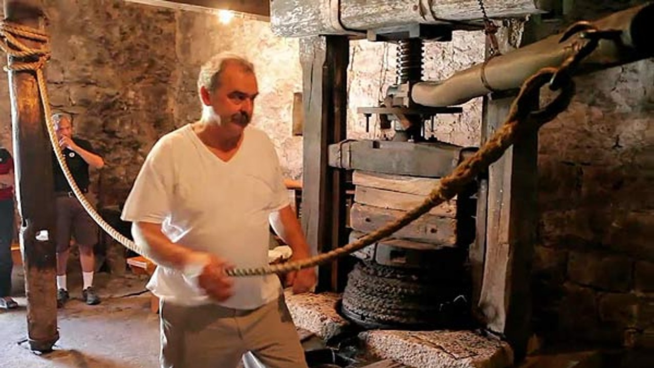 Kroatiens Küste - Olivenöl