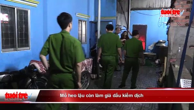 Mổ heo lậu còn làm giả dấu kiểm dịch