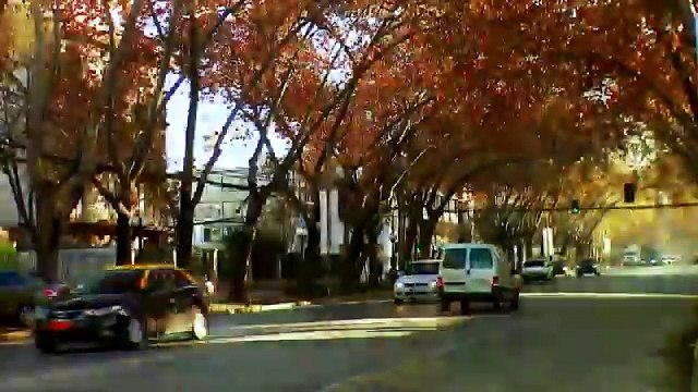 Código Rosa - Mi hijo se contagió con una grave enfermedad