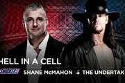 WWE Shane Mcmahon vs The Undertaker-Highlights-HIAC Wrestlemania 32