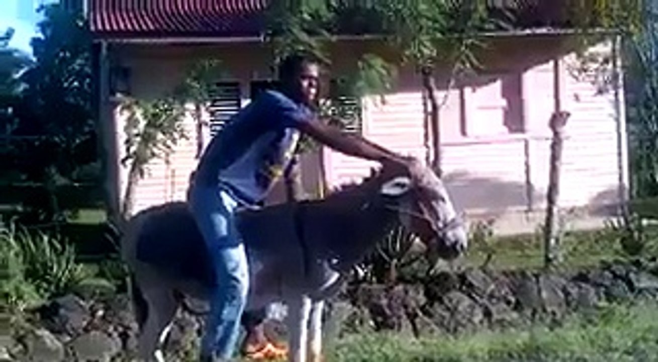 whatsapp video