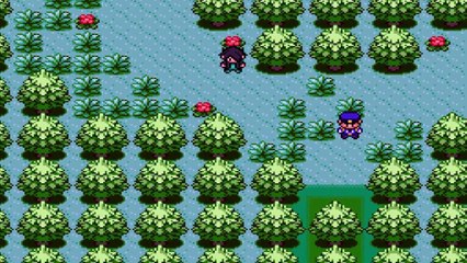 [Intense] Pokemon Rejuvenation v7 - Vitus Evolves to Indriad!