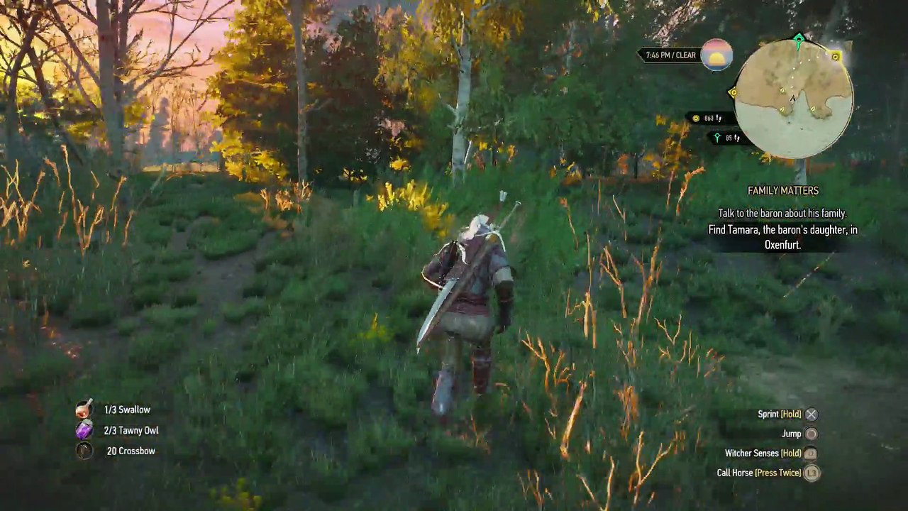 WITCHER 3 DEATH MARCH! WALKTHROUGH 58 - FAMILY MATTERS