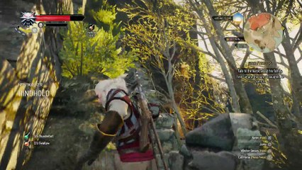 WITCHER 3 DEATH MARCH! WALKTHROUGH 60 - FAMILY MATTERS