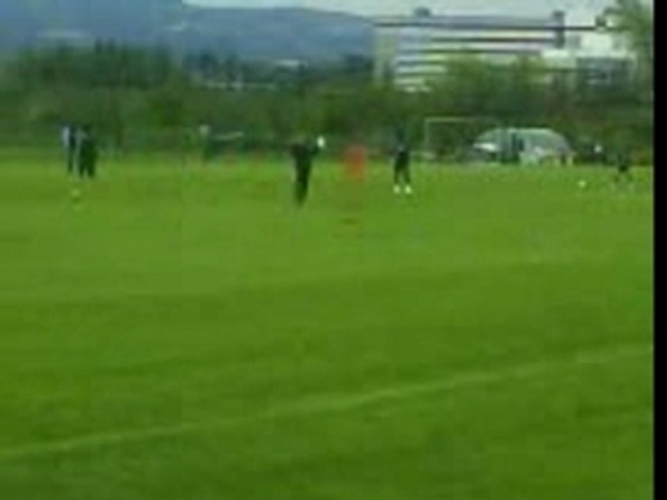 Les verts