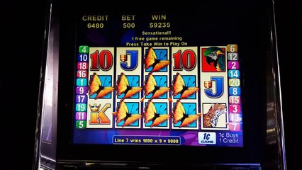 Brazil Slot Machine nice max bet feature