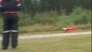 Rosa panter landing