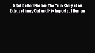 Read A Cat Called Norton: The True Story of an Extraordinary Cat and His Imperfect Human Ebook