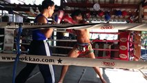 muay thai super star sangmanee boxing training at 13coins gym bangkok -1