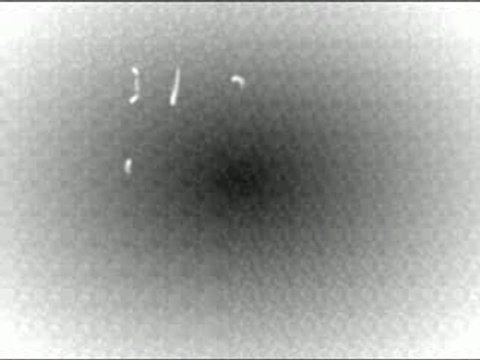 Moi et tout les potos ....