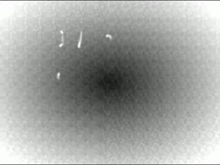 Moi et tout les potos ....