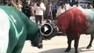Shocking: Pakistani Bull Killed The Indian Bull During Fight.
