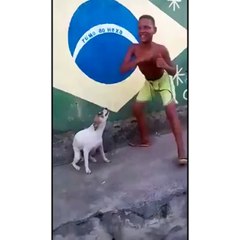 Boy Dnace With smart Dog