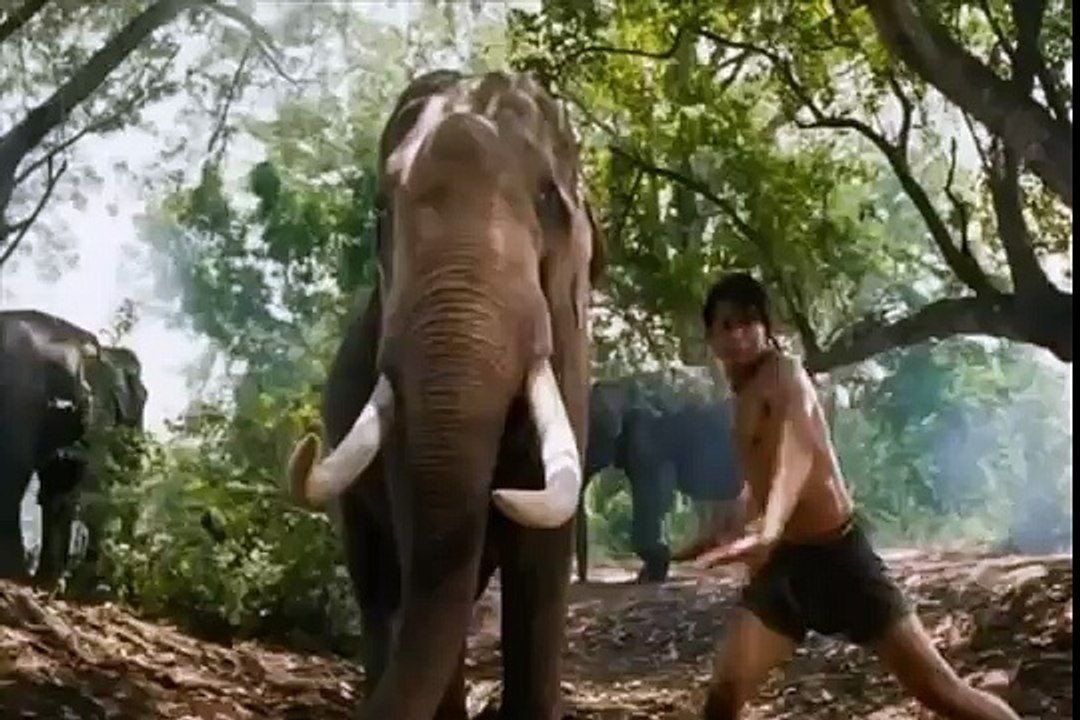 Nhac Phim Vo Thuat Thai Lan | Tuyển tập những màn võ thuật Thái Lan cực đỉnh