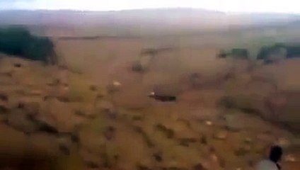 dog fight in pakistan 2015 Ayyaz Ahmedshah