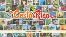 Costa Rica Canopy Tour