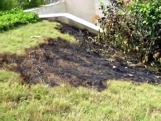 POUR INSTALLER DRAMANE OUATTARA VOICI CE QUE LA FRANCE A DU FAIRE