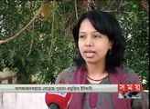 UNDP Bangladesh initiatives on mitigating brick kiln pollution- Somoy TV