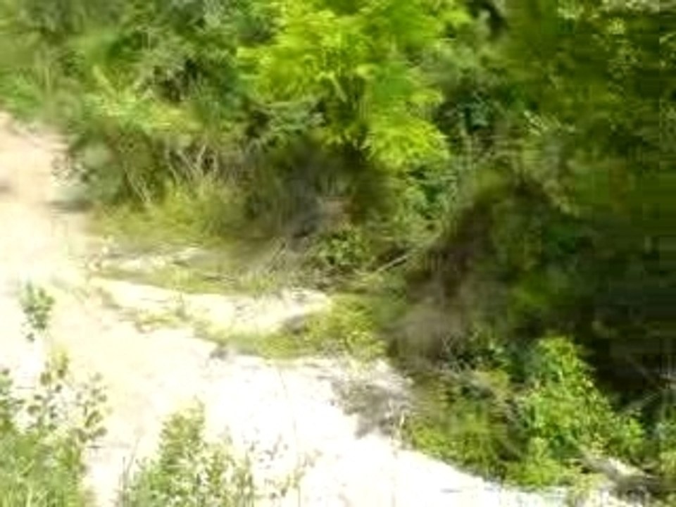 StefaNN SAUt