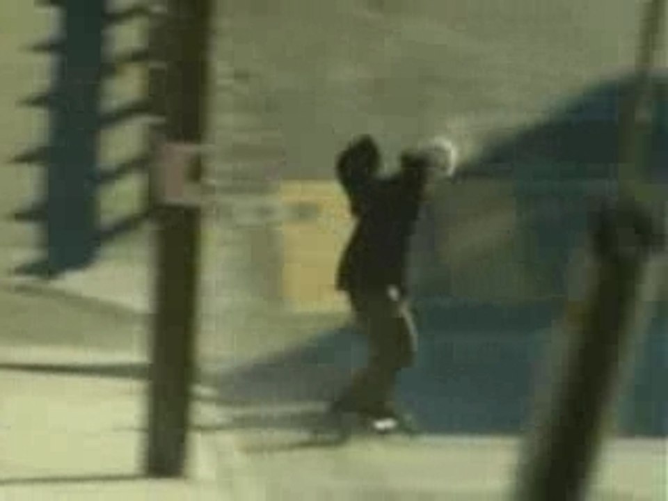 Freebord - SF 16MM