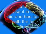 How Does Brain Plus IQ Ingredients Benefits A Person?