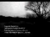 Segata Sanshiro 21 - Video Musical de Comerciales de Sega Saturn
