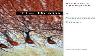 Download The Brain  A Neuroscience Primer