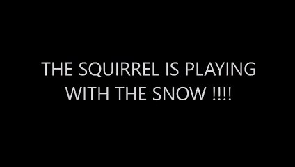 THE SQUIRREL IS PLAYING WITH THE SNOW AGAIN !!!!