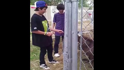 Teen Gets Hit In The Balls By A 9 Year Old