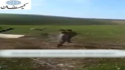 İran'da Köpeği Vahşice Öldüren Kişiye Kırbaç Cezası