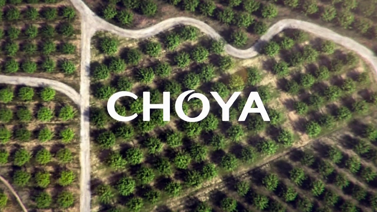 【CM】CHOYA SINGLE YEAR