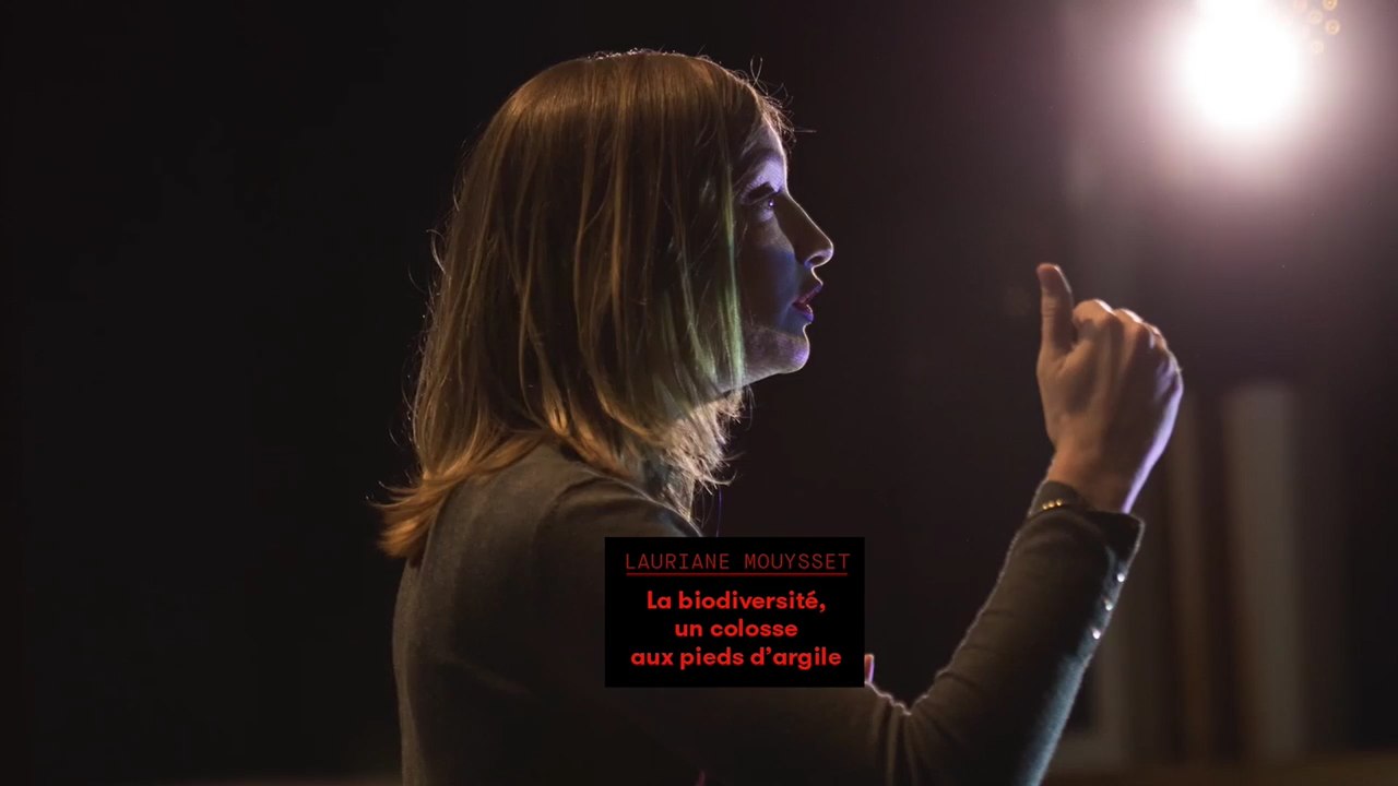 Lauriane Mouysset - La biodiversité, un colosse aux pieds d'argile
