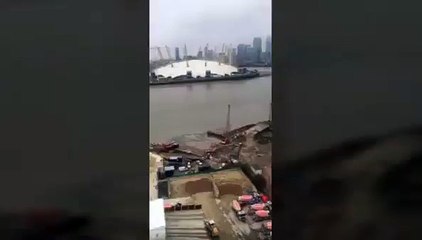 Monstruo en Rio Tamesis Londres, Verdadero o Falso?