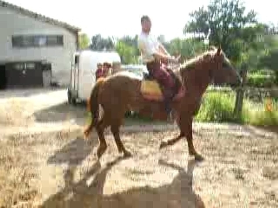 DSCF0466