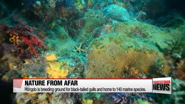 Korea's National Park Service offers virtual tour of Hongdo Island