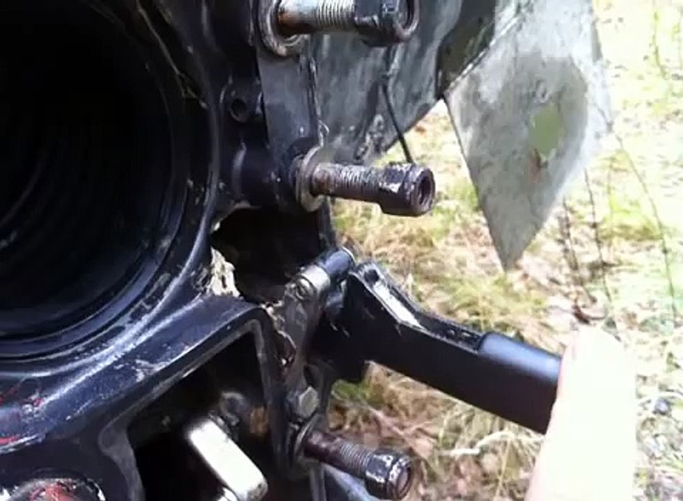 cobra.MOV