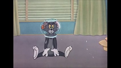 [Cartoon Network] Tom and Jerry - Casanova Cat