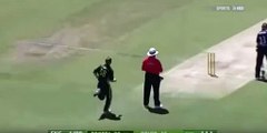 Worst missed RunOut chance in History of Cricket by Australia