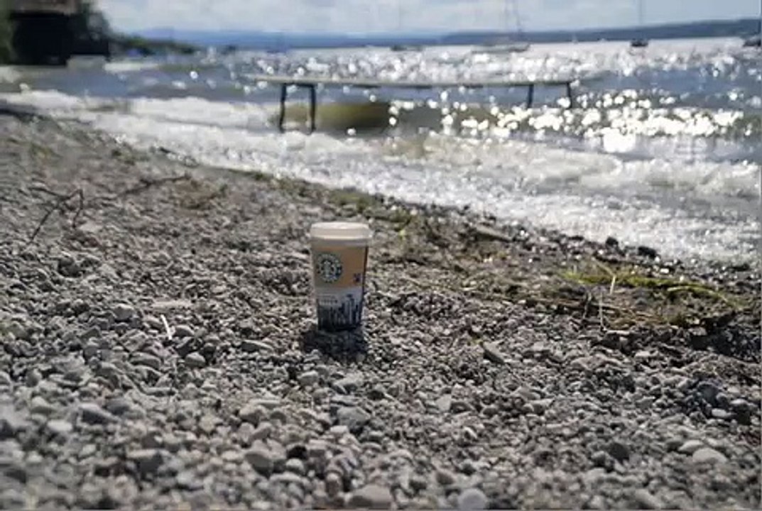 Fogosa "Raffi" : Seattle Latte