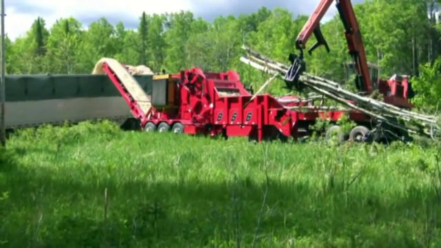 Rotochopper B-66 Grinding Logs & Whole Trees
