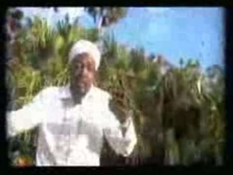 mims ft junior reid & cham - this is why i'm hot (remix)