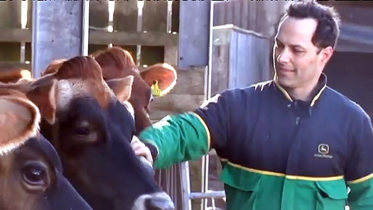 dairy.mpg