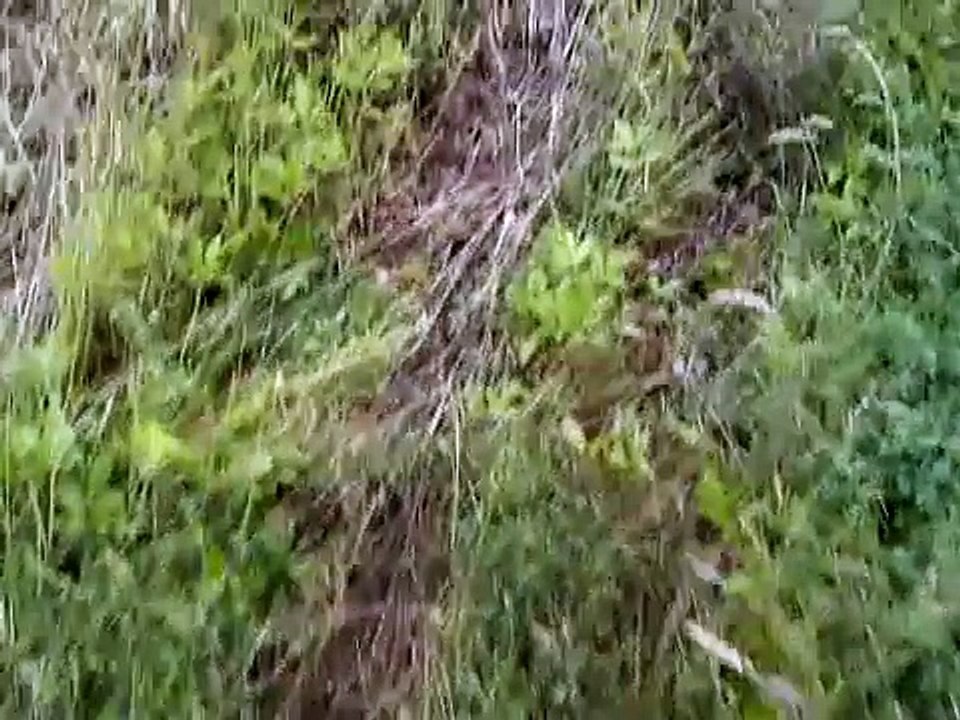 Rijles in Sint-Oedenrode