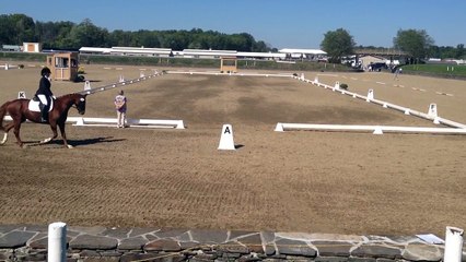 Limelight 1st Level GAIG/USDF Region 8 Championships 2015