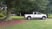funny truck pulls tree truck vs tree fail