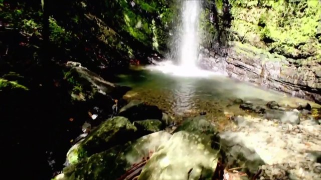 Greetings from Puerto Rico: Raw, April 4, 2016